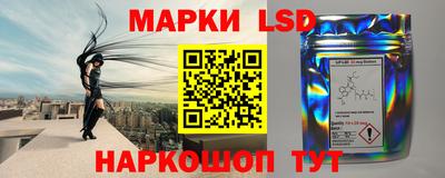 шишки Будённовск