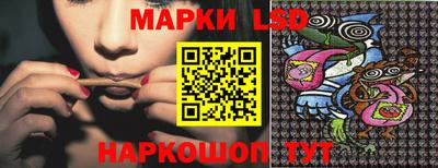 шишки Будённовск