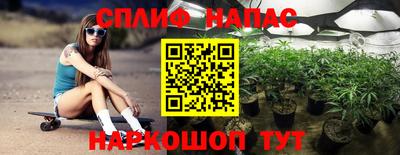 шишки Будённовск