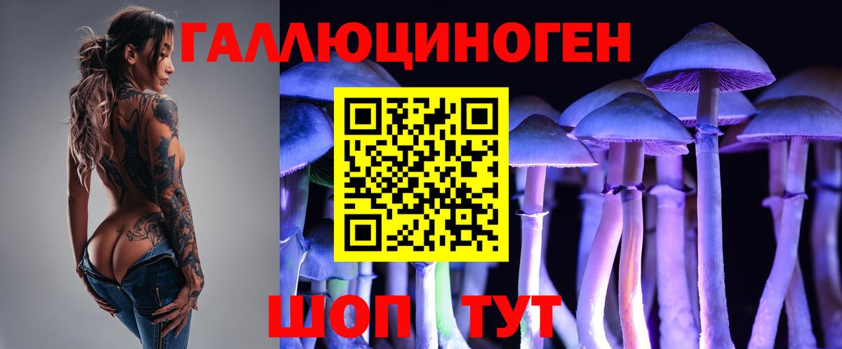 Ишимбай  Псилоцибиновые грибы прущие грибы  Псилоцибиновые грибы ЛСД  Вход с VPN 